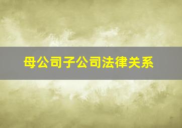 母公司子公司法律关系