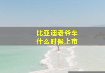 比亚迪老爷车什么时候上市