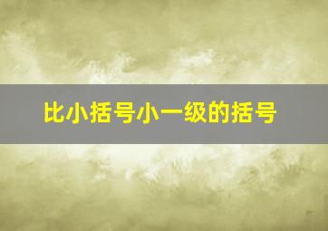 比小括号小一级的括号