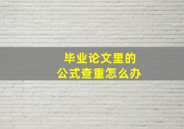 毕业论文里的公式查重怎么办