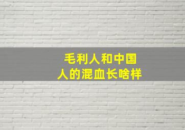 毛利人和中国人的混血长啥样