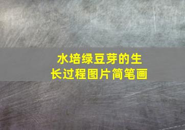 水培绿豆芽的生长过程图片简笔画