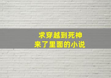 求穿越到死神来了里面的小说