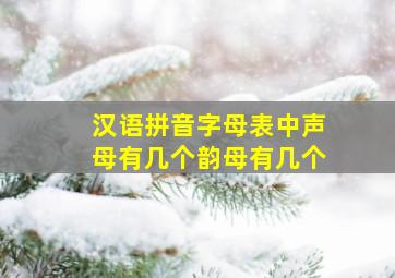 汉语拼音字母表中声母有几个韵母有几个