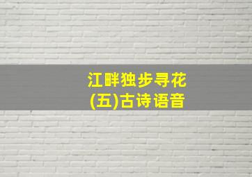 江畔独步寻花(五)古诗语音