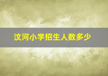 汶河小学招生人数多少