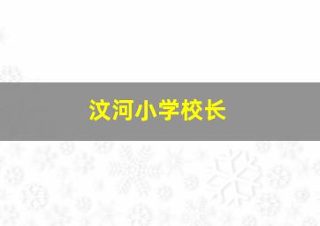 汶河小学校长