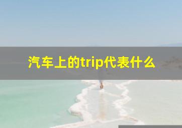 汽车上的trip代表什么