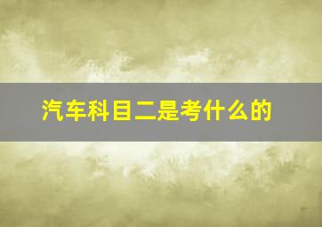 汽车科目二是考什么的