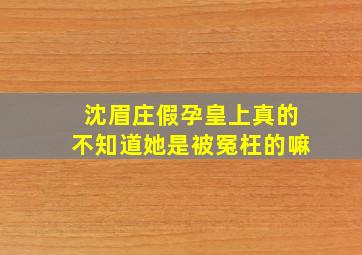 沈眉庄假孕皇上真的不知道她是被冤枉的嘛