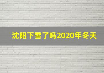 沈阳下雪了吗2020年冬天