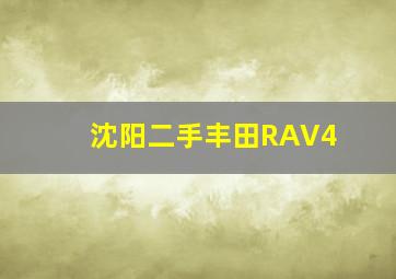 沈阳二手丰田RAV4