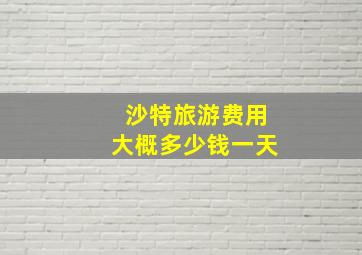 沙特旅游费用大概多少钱一天