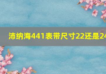 沛纳海441表带尺寸22还是24