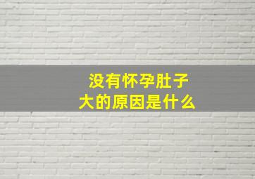 没有怀孕肚子大的原因是什么