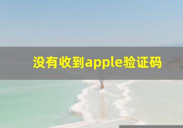 没有收到apple验证码