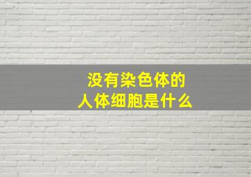 没有染色体的人体细胞是什么