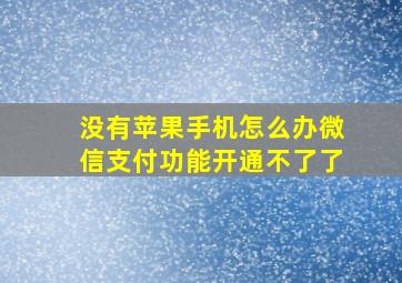 没有苹果手机怎么办微信支付功能开通不了了