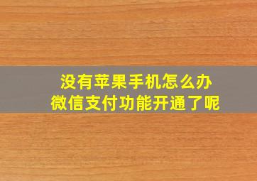 没有苹果手机怎么办微信支付功能开通了呢