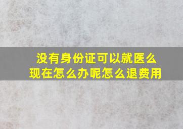 没有身份证可以就医么现在怎么办呢怎么退费用