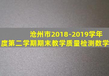 沧州市2018-2019学年度第二学期期末教学质量检测数学