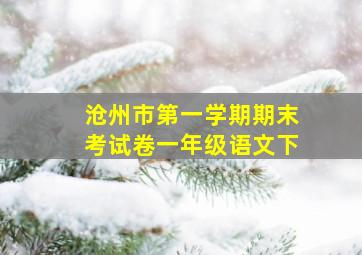 沧州市第一学期期末考试卷一年级语文下