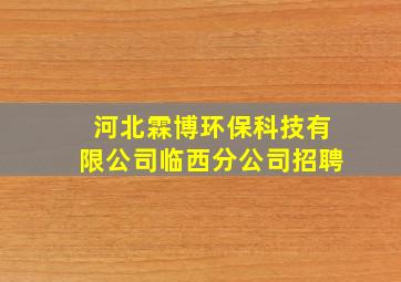 河北霖博环保科技有限公司临西分公司招聘