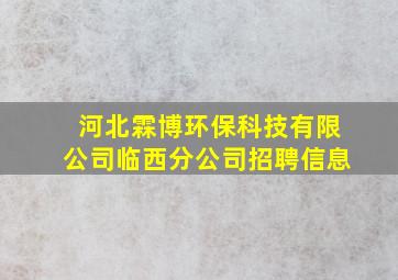 河北霖博环保科技有限公司临西分公司招聘信息