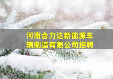 河南合力达新能源车辆制造有限公司招聘