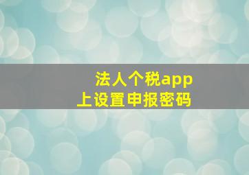 法人个税app上设置申报密码