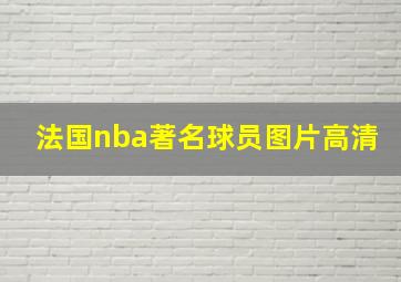 法国nba著名球员图片高清