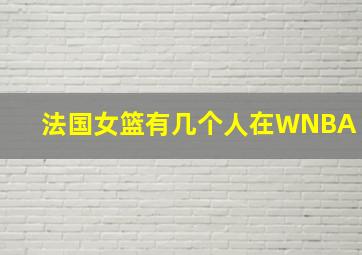 法国女篮有几个人在WNBA