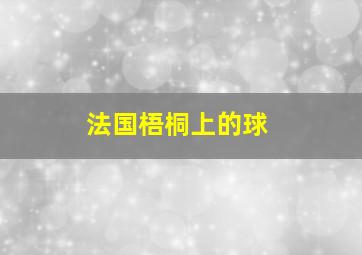 法国梧桐上的球