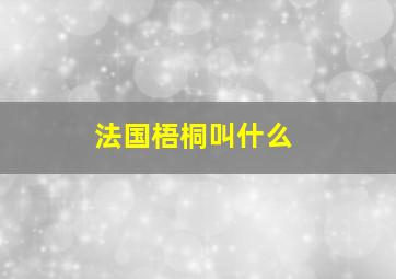 法国梧桐叫什么