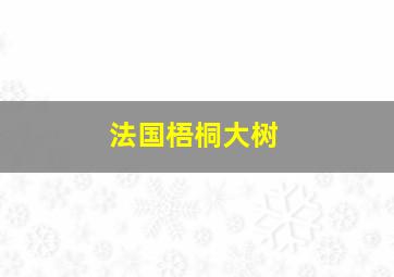 法国梧桐大树