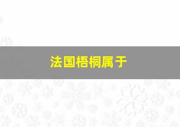 法国梧桐属于