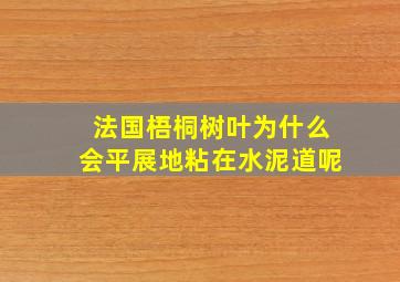 法国梧桐树叶为什么会平展地粘在水泥道呢