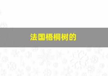 法国梧桐树的