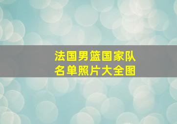 法国男篮国家队名单照片大全图