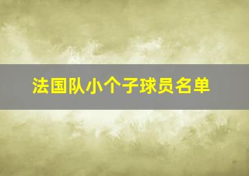 法国队小个子球员名单