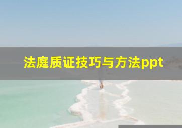 法庭质证技巧与方法ppt