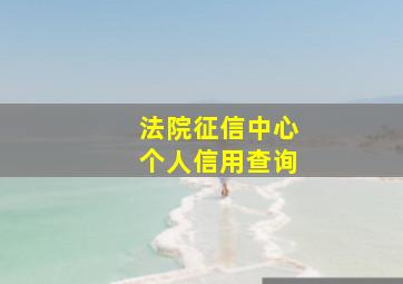 法院征信中心个人信用查询