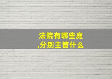 法院有哪些庭,分别主管什么