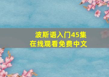 波斯语入门45集在线观看免费中文