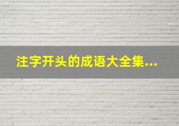 注字开头的成语大全集...