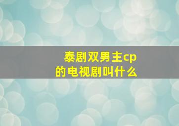 泰剧双男主cp的电视剧叫什么