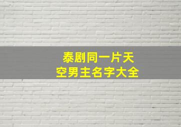 泰剧同一片天空男主名字大全