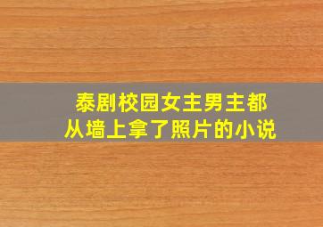 泰剧校园女主男主都从墙上拿了照片的小说