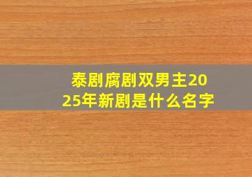 泰剧腐剧双男主2025年新剧是什么名字