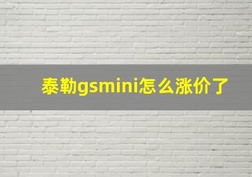 泰勒gsmini怎么涨价了